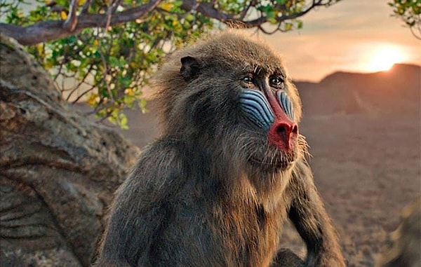 13. Также Рафики не пользуется палкой при ходьбе и говорит намного меньше.