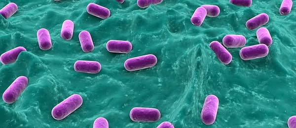 10. Выберите правильный вариант: