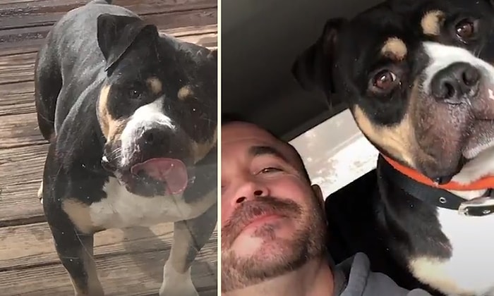 İyi İnsanlar İyi ki Varlar: Bir Evin Bodrumuna Terk Edilen Köpeğin Kurtarılma Hikayesi