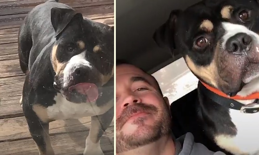 İyi İnsanlar İyi ki Varlar: Bir Evin Bodrumuna Terk Edilen Köpeğin Kurtarılma Hikayesi