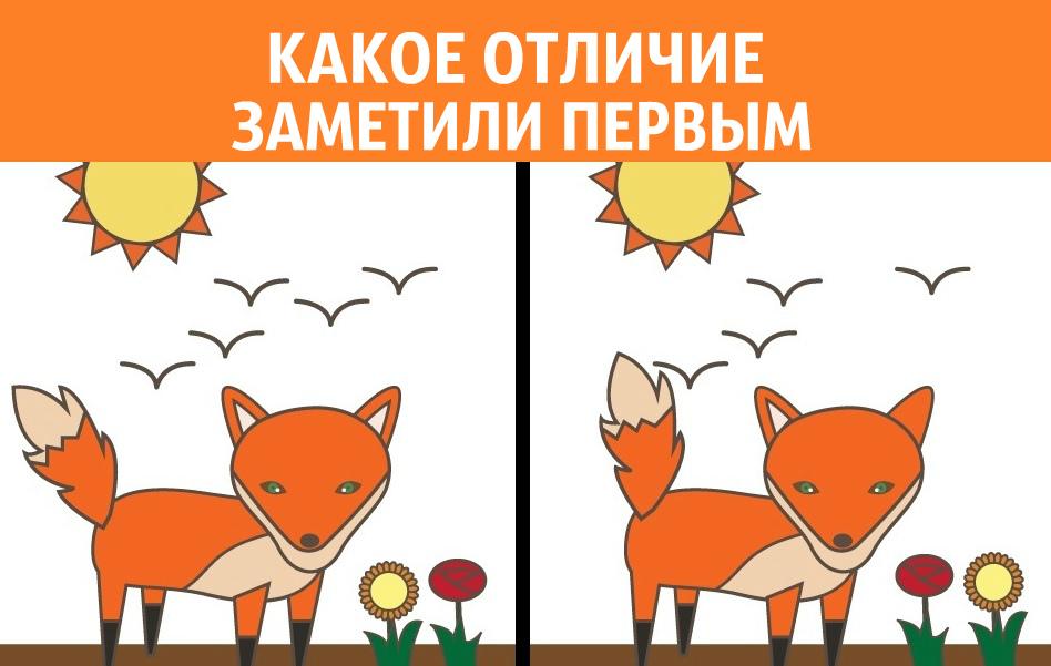 Тест на ваш характер Найди отличия лиса и солнце. Тесты различий