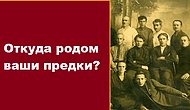 Тест: Узнайте происхождение ваших далеких предков, ответив на несколько простых вопросов