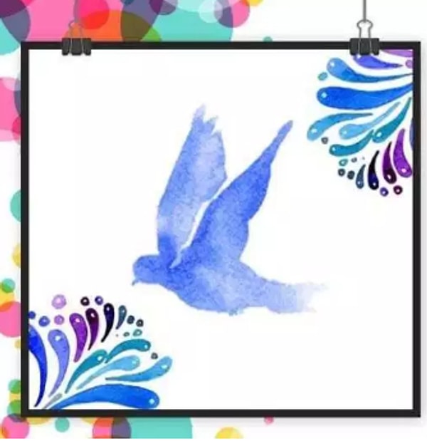 Если вы выбрали голубя...