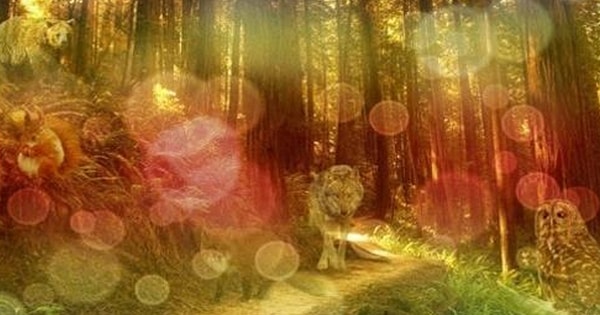 Какое животное вы увидели первым?