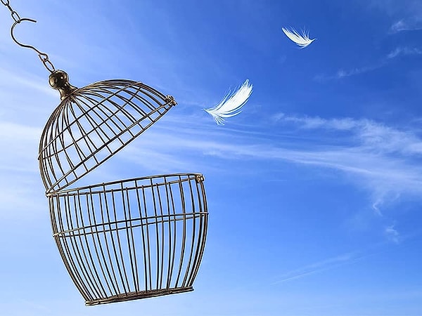 2. А от чего бы вас не помешало избавиться?