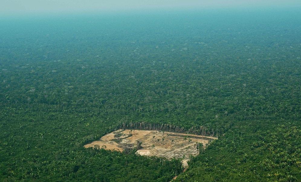 Amazon'da Tahribat Artıyor: Bin Kilometrekareden Fazla Ormanlık Alan Tahrip Edildi