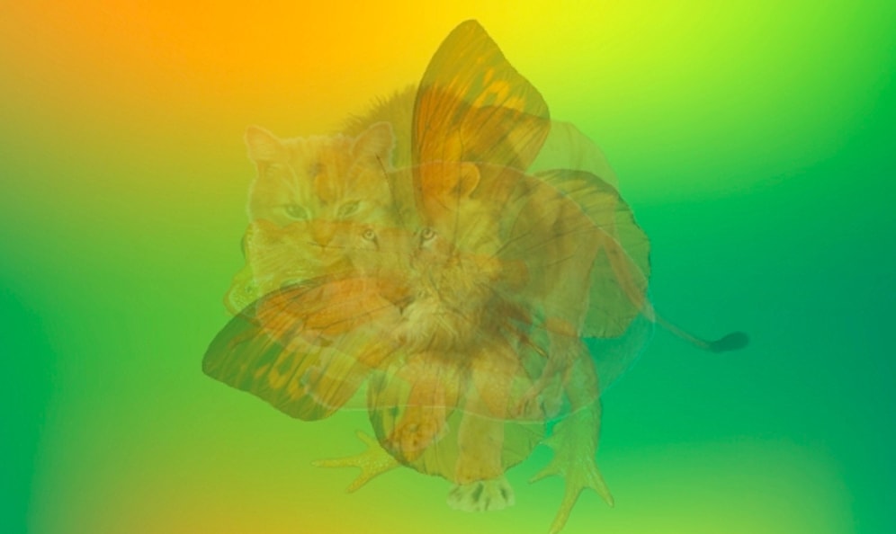 Тест: То животное, которое вы увидели первым, точно опишет ваш характер