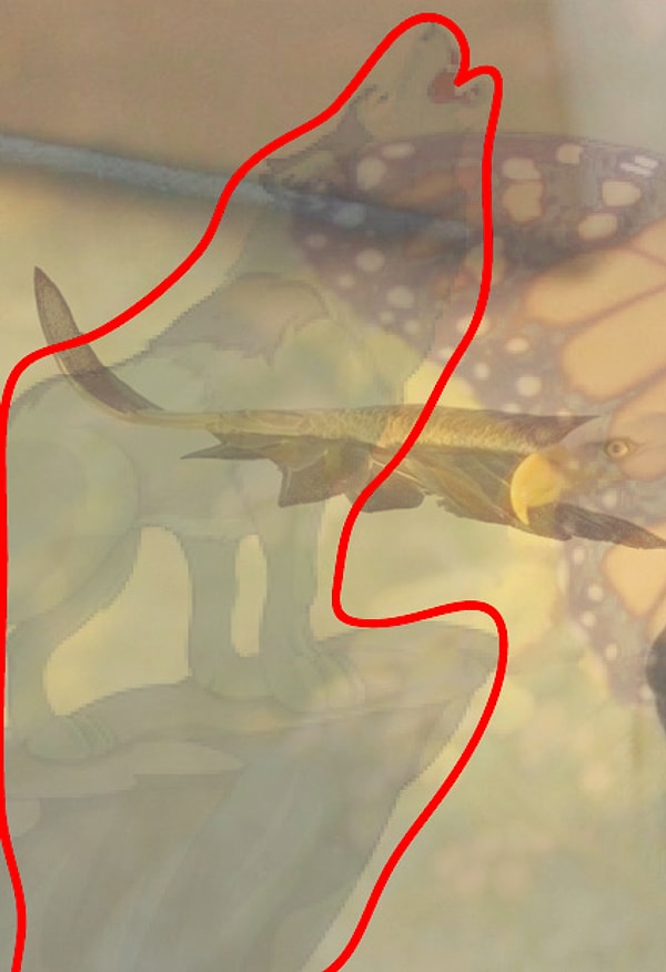 Вы увидели волка: