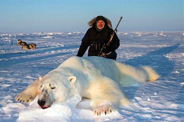 Hatıra amaçlı avcılığı yasaklamak için başlatılan kampanyada, çıkılan seyahatlerin teşviki için çekilen ölü kutup ayıları ve diğer avlanan vahşi hayvanların görüntüleri paylaşılmaya başlanarak aslında ne kadar canice olduğu insanlara gösteriliyor.