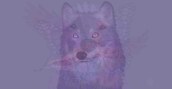 Итак, вы увидели волка!