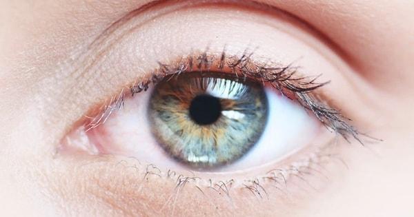 2. İnsan gözü saniyede yaklaşık 50 kere hareket eder.