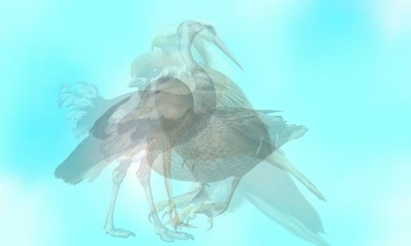 1. Итак, выбираем: