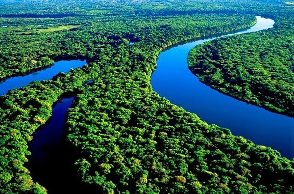 8. Самая длинная река...