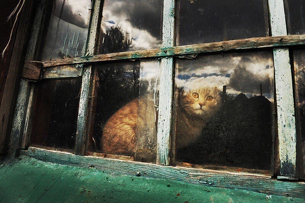 1. Начнем с негатива. Что из этого вы не сможете терпеть?