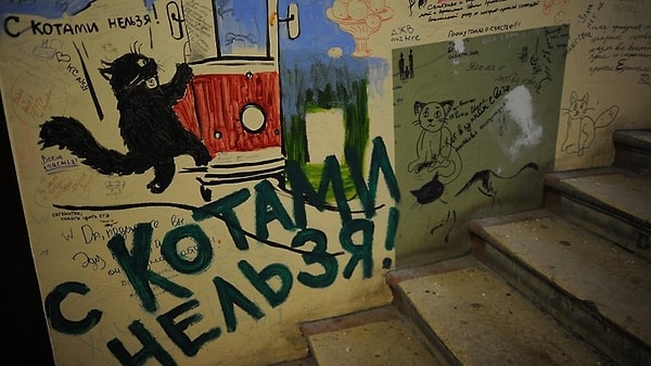 7. В романе "Мастер и Маргарита" Булгаков пишет, что москвичей испортил квартирный вопрос. А какой у вас дом/квартира мечты?