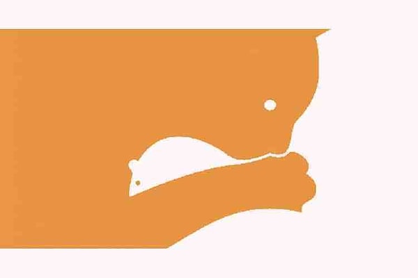 Итак, что вы видите?