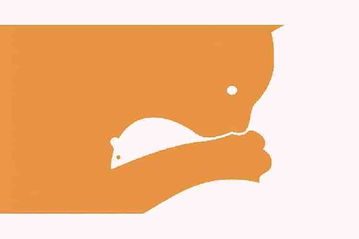 Тест: Что вы увидели первым на картинке? Кошку или мышку?