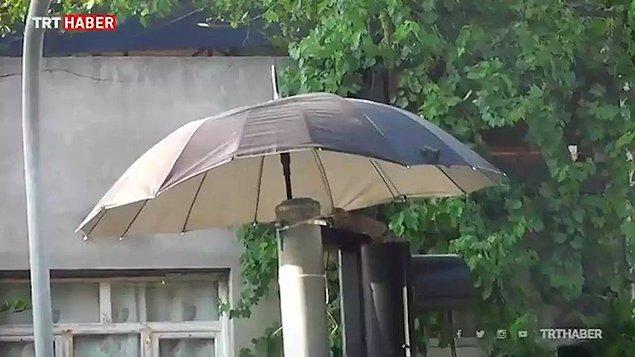 İzmir'in Beydağı ilçesinde, trafik ışıkları üzerinde kuluçkaya yatan kumrunun yuvasının üstüne şemsiye monte edildi.