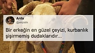 "Bir Erkeğin En Güzel Çeyizi Sizce Nedir?" Sorusuna Gelen Birbirinden Yaratıcı Cevaplar