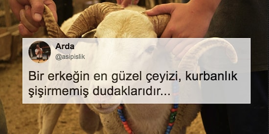 "Bir Erkeğin En Güzel Çeyizi Sizce Nedir?" Sorusuna Gelen Birbirinden Yaratıcı Cevaplar