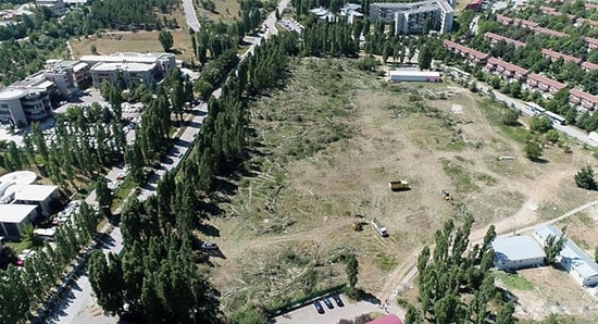 ODTÜ'de Yurt İçin Yapılan Şantiye Binalarına Yıkım Kararı: Bölge Yeniden Ağaçlandırılacak