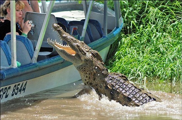 17. Можно начинать паниковать. Но сперва надо сфоткать