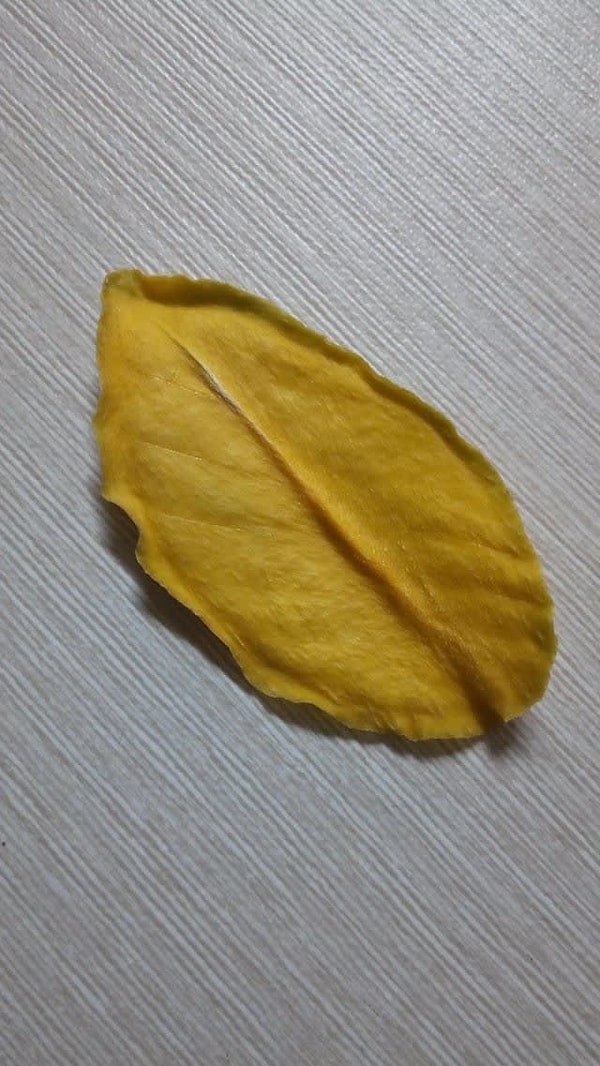 14. Кусочек сушёного манго уж очень напоминает лист...