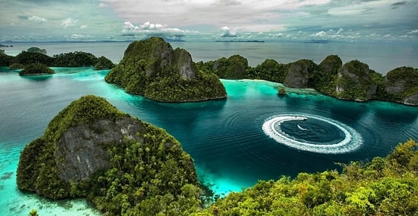 1. Флаг какого государства получится, если флаг Индонезии повернуть на 180 градусов?