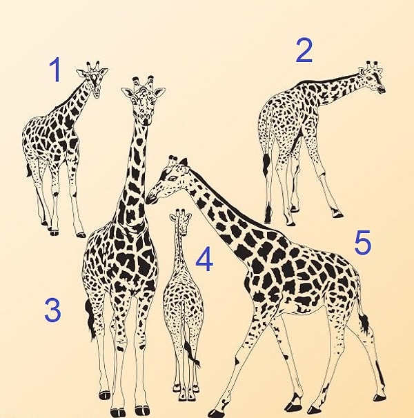 Вы любопытны, когда того требует ситуация!