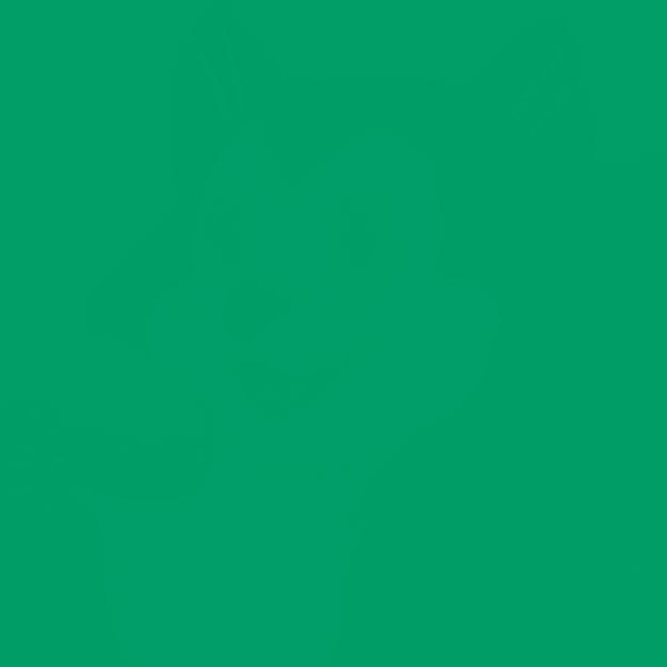 9. И, наконец, что за герой спрятан в последнем вопросе?