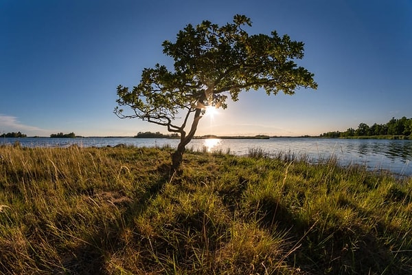 12. Остров Эланд, Швеция