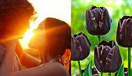 Тест: Выберите цветы, а мы расскажем, в каком году вы встретите свою настоящую любовь