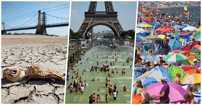 İklim Değişikliği Gerçektir! Bu Yazın Avrupa'da Ne Kadar Sıcak Geçtiğinin Kanıtı 15 Fotoğraf