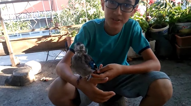 Henüz yaşı çok küçük olmasına rağmen hayvanlarla çektiği videolarla dikkatleri üzerine çeken Mehmet Kanur için Ekşi Sözlük'te bir kampanya başlatıldı.