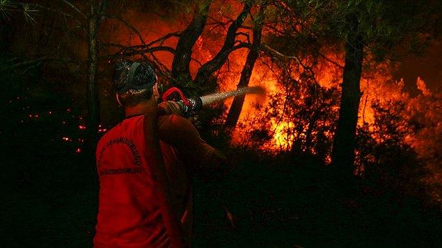 Orman yangını, pazar günü saat 13.00'de Karabağlar'ın Tırazlı mevkisinde başladı.