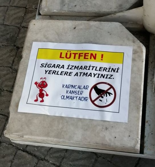 10. Karıncaları katmasaydık bu işe hiç.