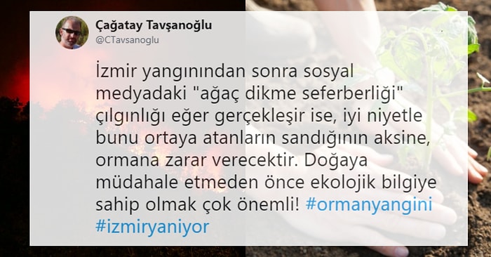 İzmir'deki Orman Yangının Ardından Neler Yapılması Gerektiğini Bir Uzman Gözüyle Aktaran Bu Paylaşımı Mutlaka Okumalısınız!