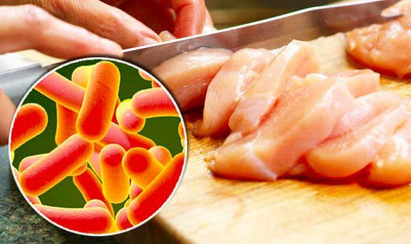 Çoğu insan dışkı ile kirlenmiş yiyecekleri yiyerek salmonella bakterisini vücuduna alır.