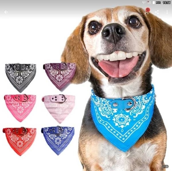 12. С этой собакой что-то не так, или мне кажется?