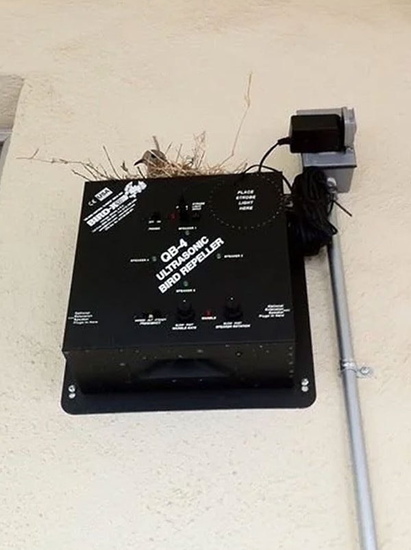 4. Похоже, что эта птица не умеет читать