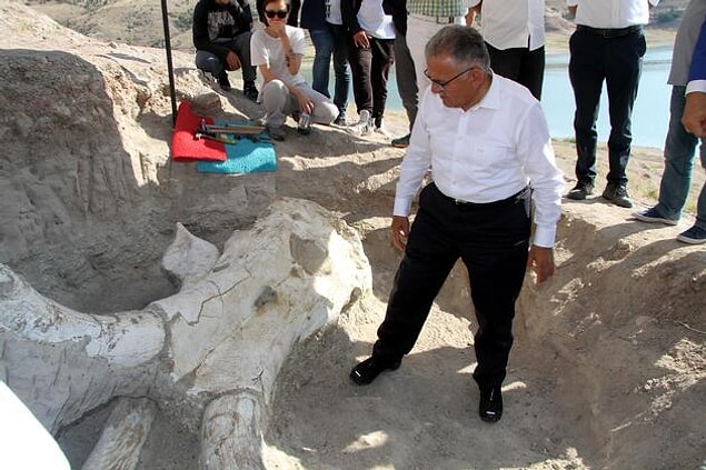 "Kafatası ve çenesi tam halde bulunan ilk fosil"