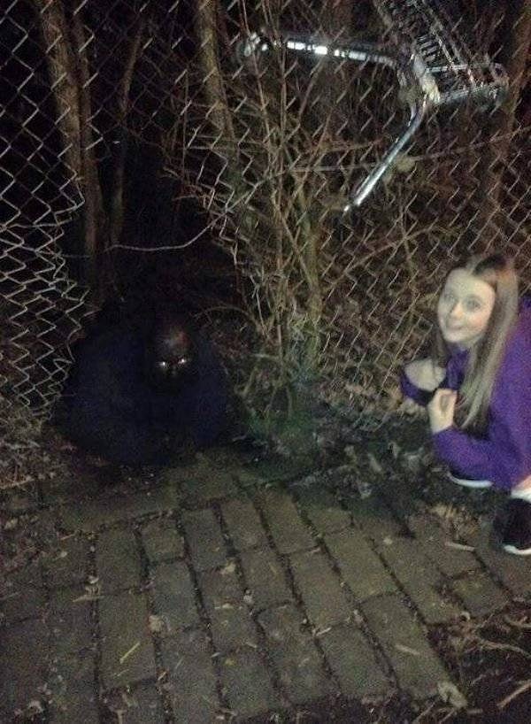 11. Ну это уже слишком