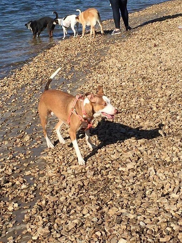 18. А меня не позвали