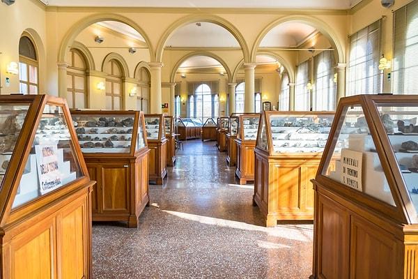 12. Bolonya Üniversitesi Jeoloji ve Mineroloji Müzesi