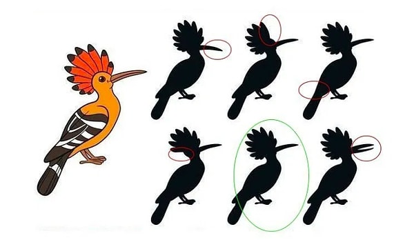 Кликните на картинку, чтобы увидеть ошибки