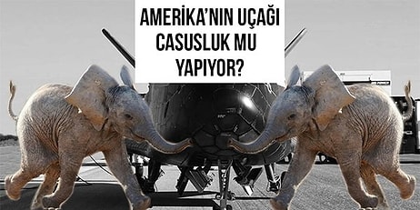 Bebek Filler, Gizemli Rekor ve Daha Nicesi: Biz Danla Bilic'in Ayakkabısının Karın Ağrısını Çekerken Bilim Dünyasında Bu Hafta Yaşananlar!