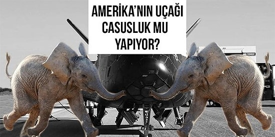 Bebek Filler, Gizemli Rekor ve Daha Nicesi: Biz Danla Bilic'in Ayakkabısının Karın Ağrısını Çekerken Bilim Dünyasında Bu Hafta Yaşananlar!
