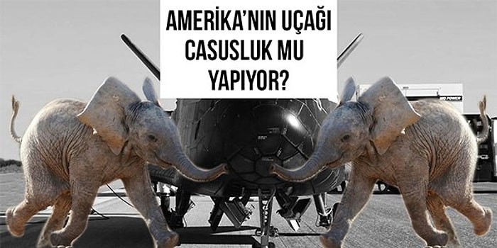 Bebek Filler, Gizemli Rekor ve Daha Nicesi: Biz Danla Bilic'in Ayakkabısının Karın Ağrısını Çekerken Bilim Dünyasında Bu Hafta Yaşananlar!