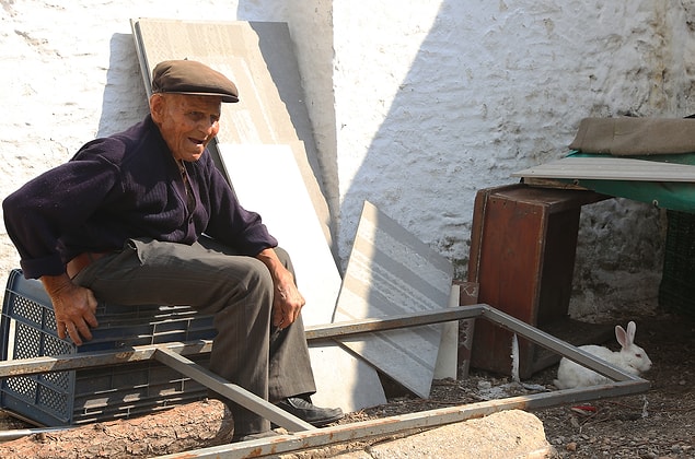 'Hayvan sevgisi gerçekten anlatılmaz bir duygu'