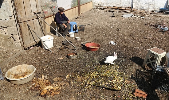 Bir İyilik Yolculuğu: 90 Yaşındaki Necati Dede, Her Gün Pazardan Topladığı Meyve Sebzelerle Hayvanları Besliyor